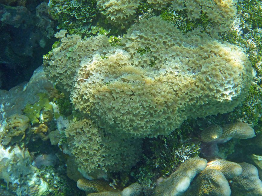 Waiag, Raja Ampat, Indonesia
