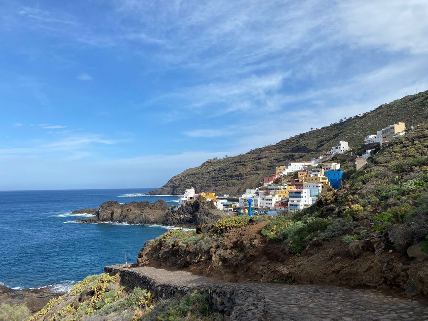 Christmas walk along the North Shore of Tenerife