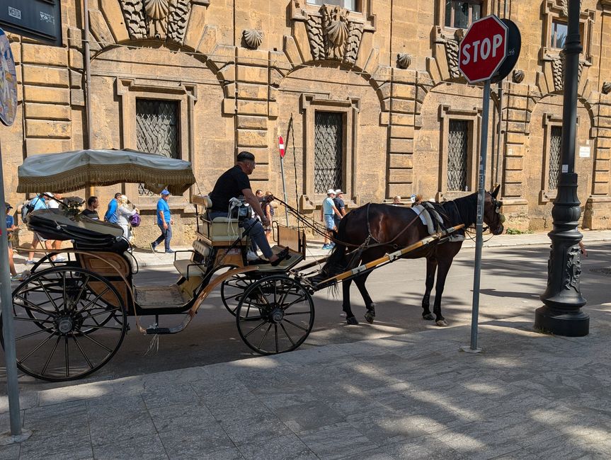119.Etiqueta 3.5.25 Palermo Sicilia