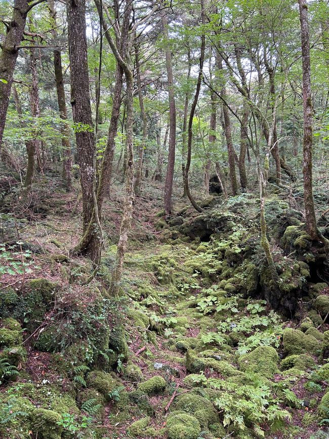 Höhlenbesichtigung beim Fuji