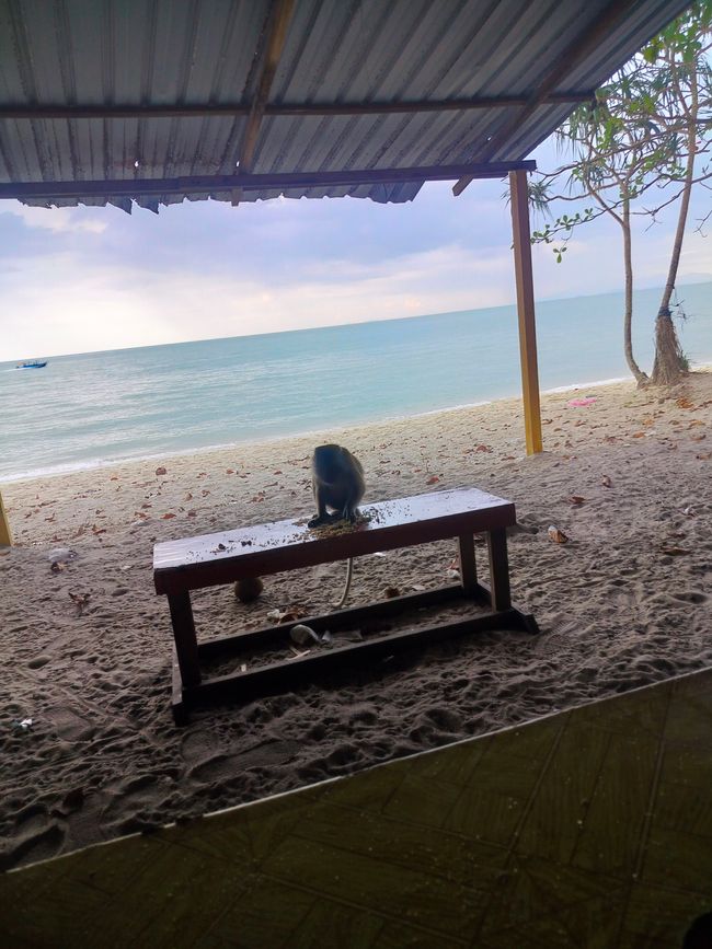 Georgetown et l'île de Penang