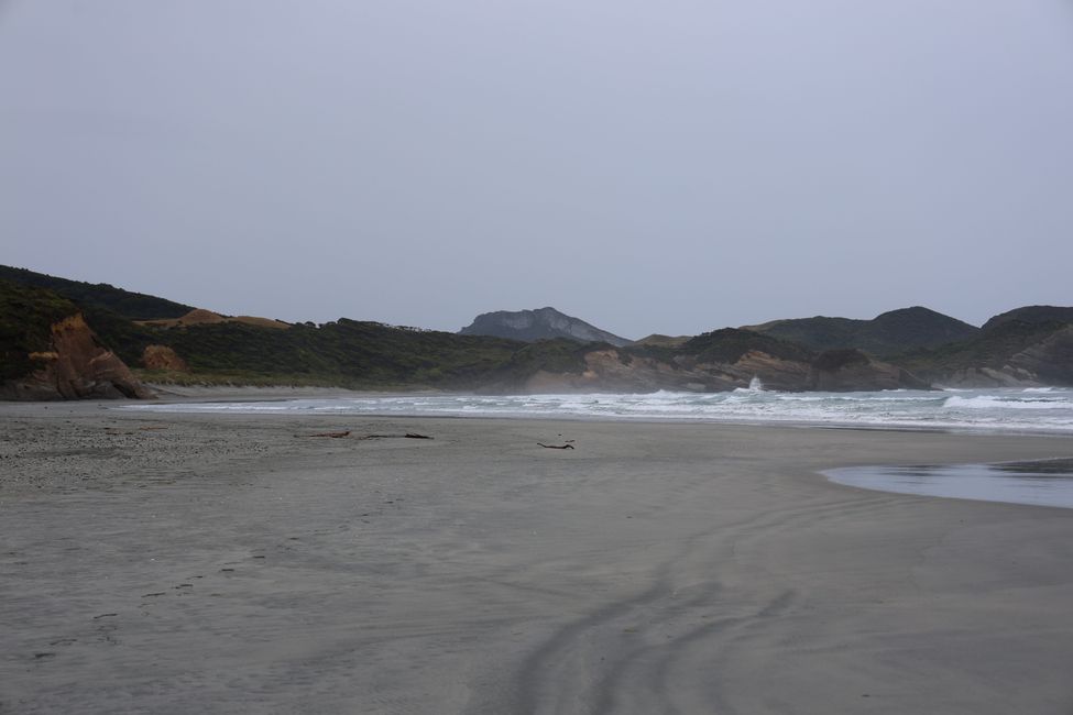 Abel Tasman