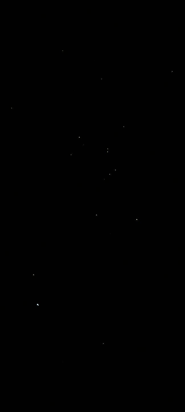 Les étoiles brillent