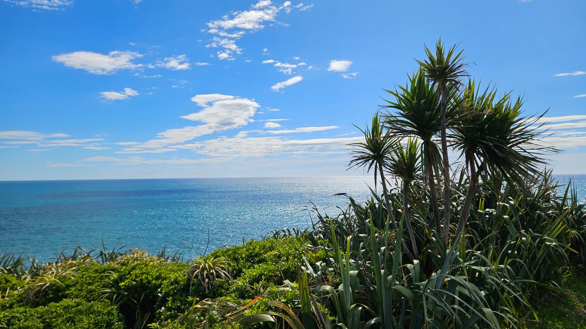 Charleston - Punakaiki - Greymouth - Arthur's Pass
