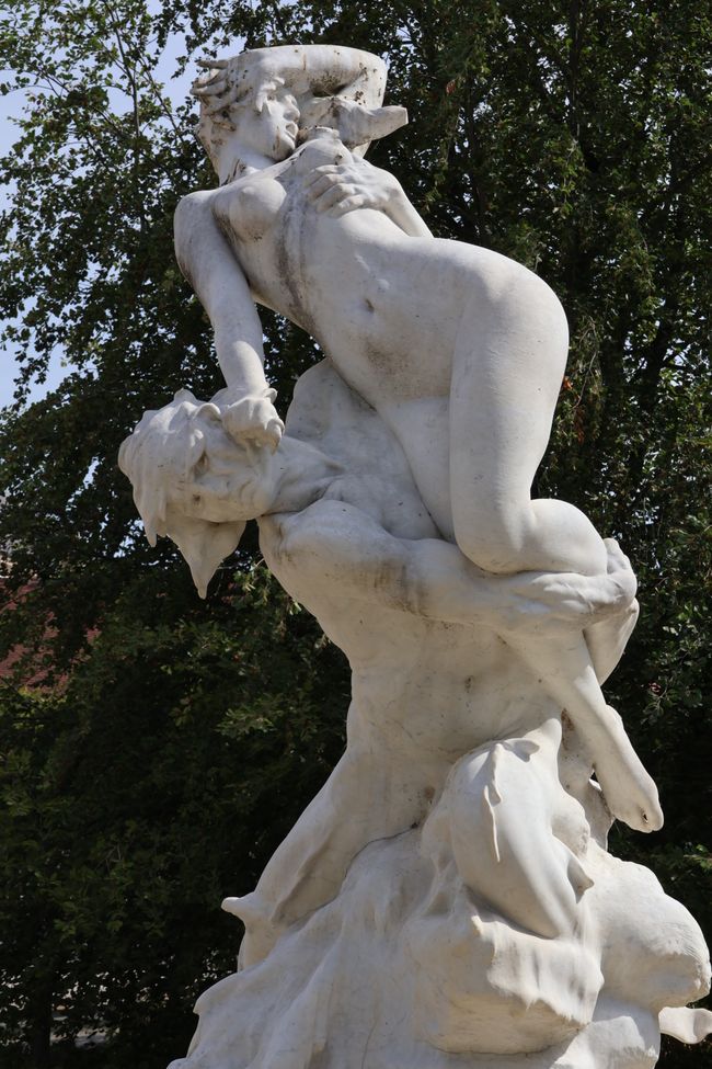 Grenouille avec un écart dentaire