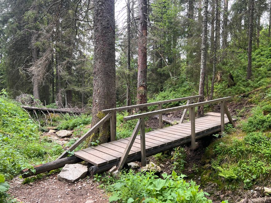26 Feldbergsteig Escursione Pro Wolermoos