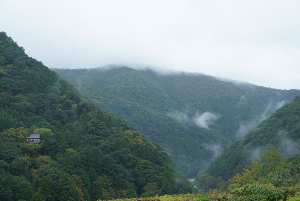 Gartenbesichtigung im regnerischen Kyoto