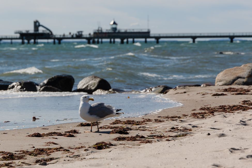 Grömitz / Ostsee