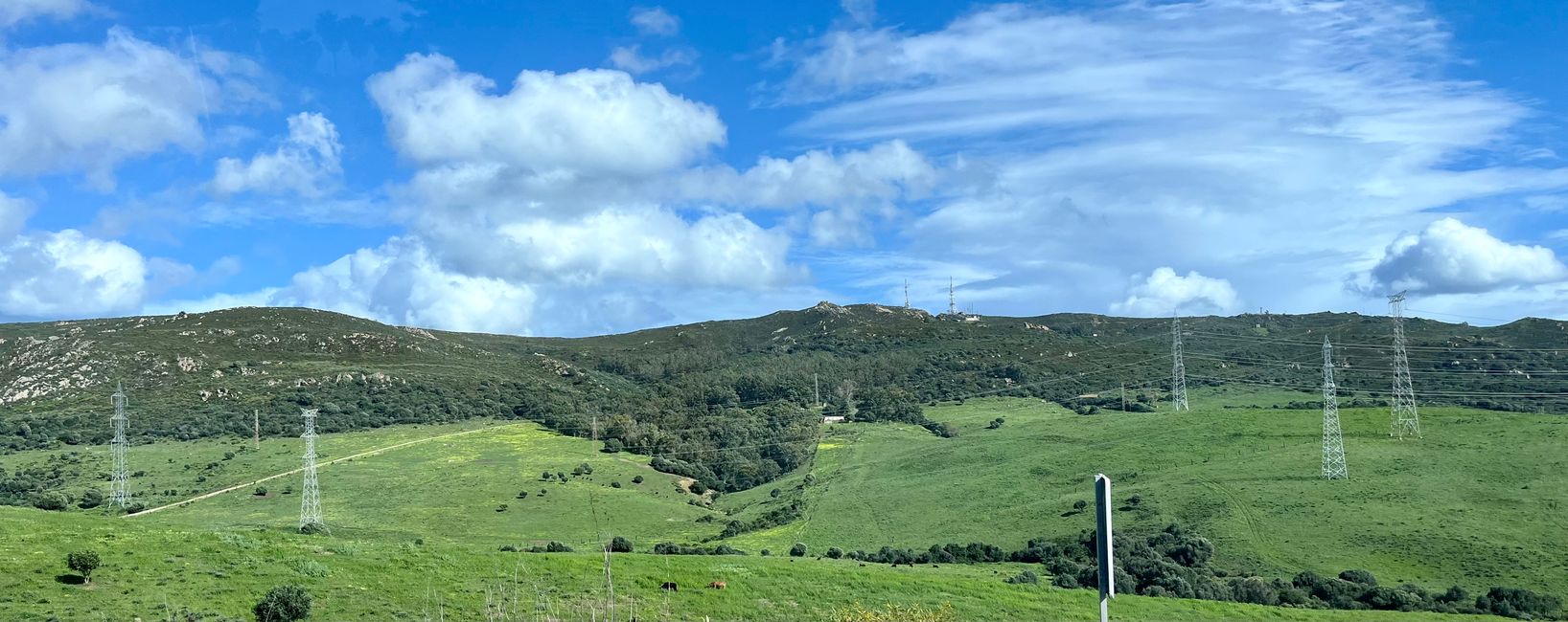 Anfang März präsentiert sich Andalusien grün in grün - der Regen hat auch positive Auswirkungen