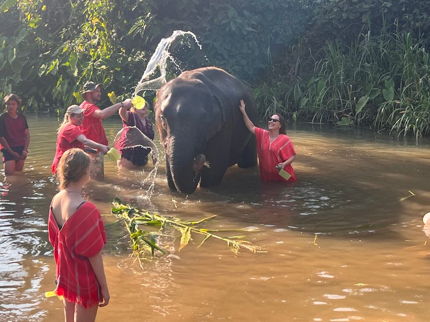Day 9 - Chiang Mai and the jungle