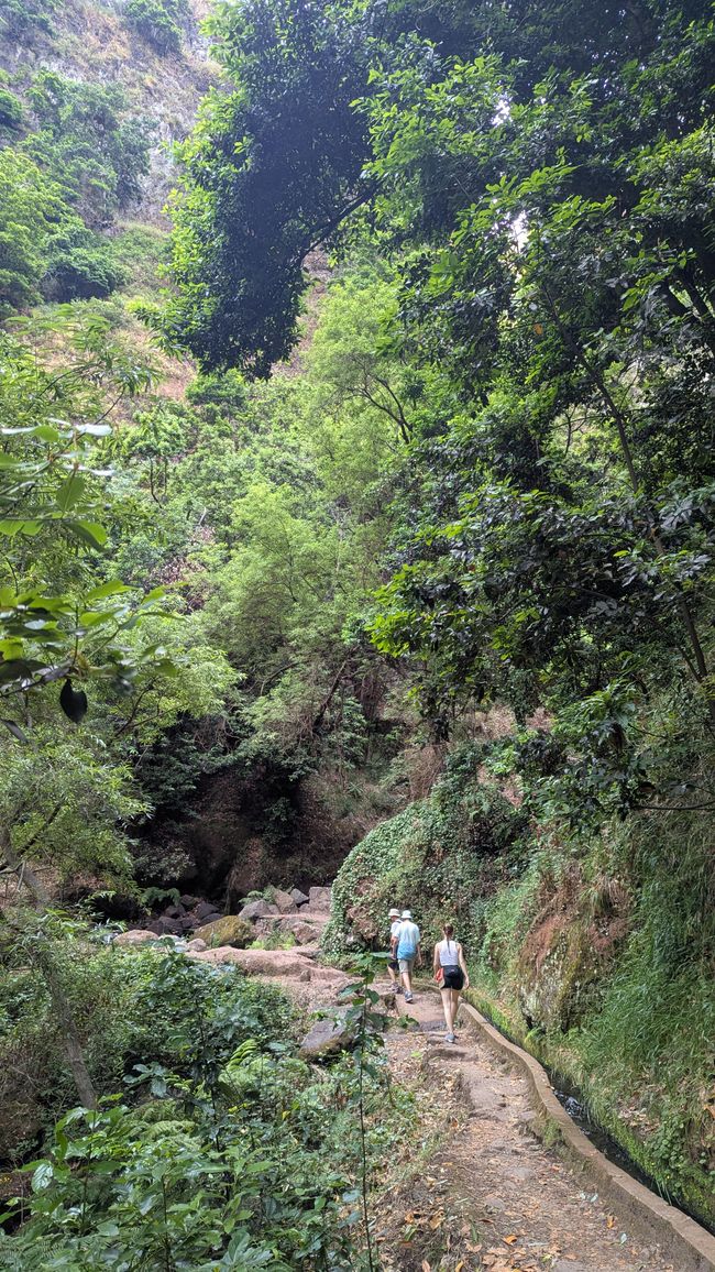 Tag 8: Wandern entlang der Levada do Moinho & Levada Nova