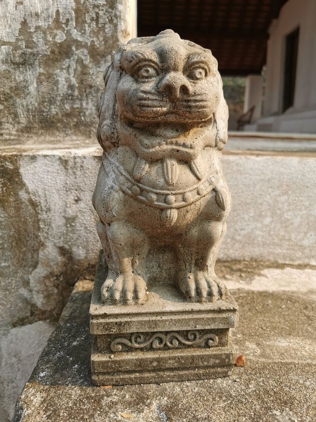 ... volto sorridente all'ingresso ...
